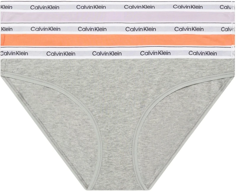 Calvin Klein Women Bikini Shape Briefs Stretch Cotton Pack of 3, Multicolor (Cadmium Orng/Gry Htr/Lavender Blue), L
