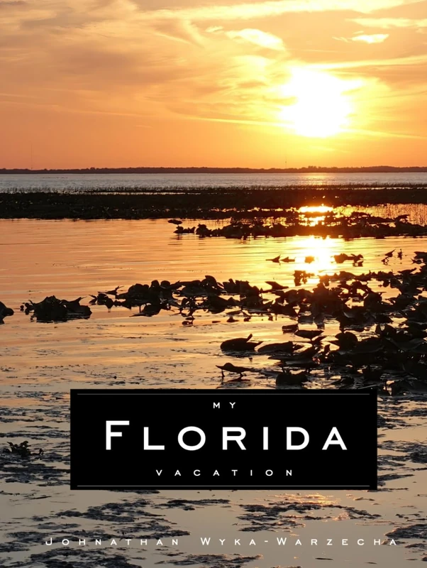 My Florida Vacation: Beautiful Landscape Photography Coffee Table Picture Book | Full Color Page Beach, Nature, Everglades, and Resort Photographic Images (Coffee Table Book Series)