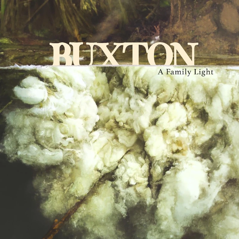 A Family Light [VINYL] - Image 1