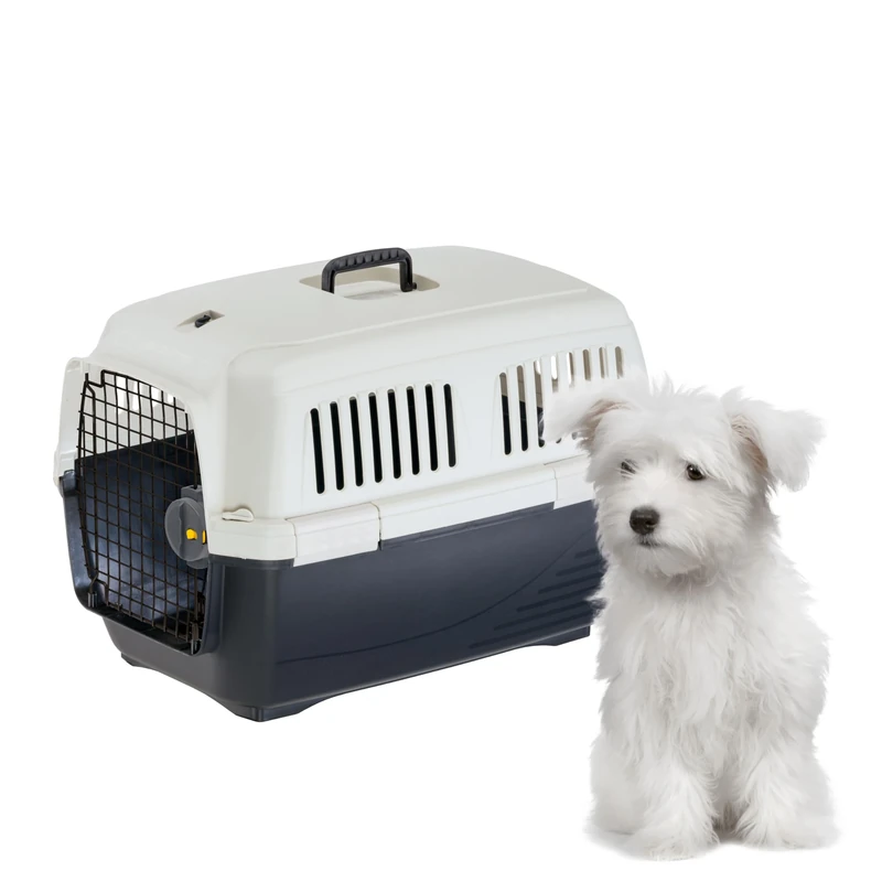 Ferplast Cat Carrier CLIPPER 3, IATA Approved Travel Crate, Pet Carrier for Small Dogs and Cats max 15 Kg, for Car Travel, Airline, Train, 64 x 43 x h 43 cm, Steel Door, Secure Closure