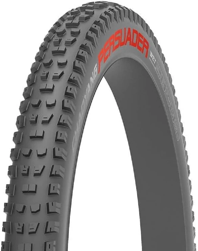 CHAOYANG Tyre 29x2,4 PERSUADER WET 60TPI Tubeless Ready BtoB