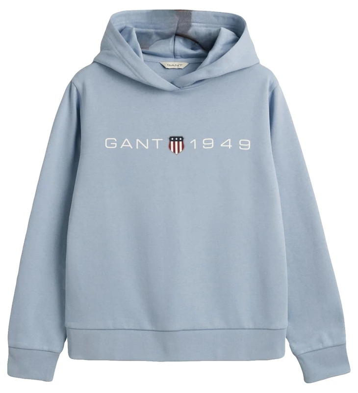 GANT Women's Reg Printed Graphic Hoodie Hooded Sweatshirt, Dove Blue, S