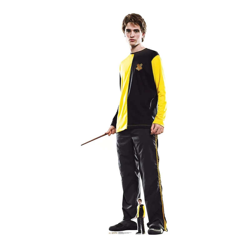 Star Cutouts SC4283 Cedric Diggory Robert Pattinson Cardboard Cutout with Mini – Official Harry Potter Gift for Bedrooms, Parties & Movie Fans