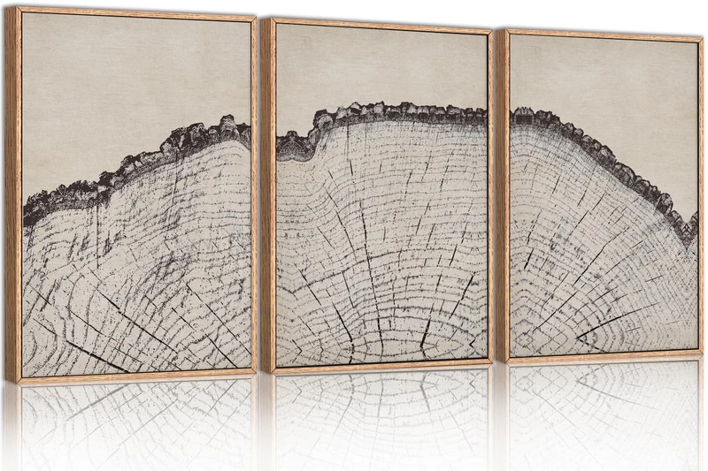 HPINUB Vintage Wood Tree Rings Wall Art Set, Framed Canvas Paintings, Black and White Nature-Inspired Decorative for Modern Home Decor for Living Room, Bedroom, Dining Room, Office- 16"x24"x3