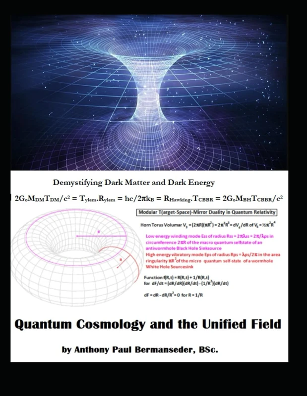 Quantum Cosmology in the Unified Field