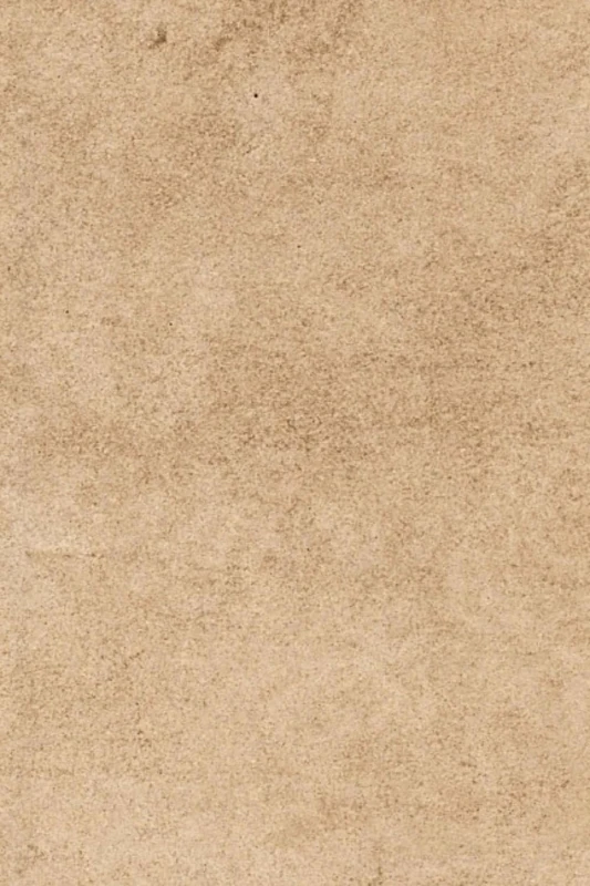 Daily Journal: Start Today