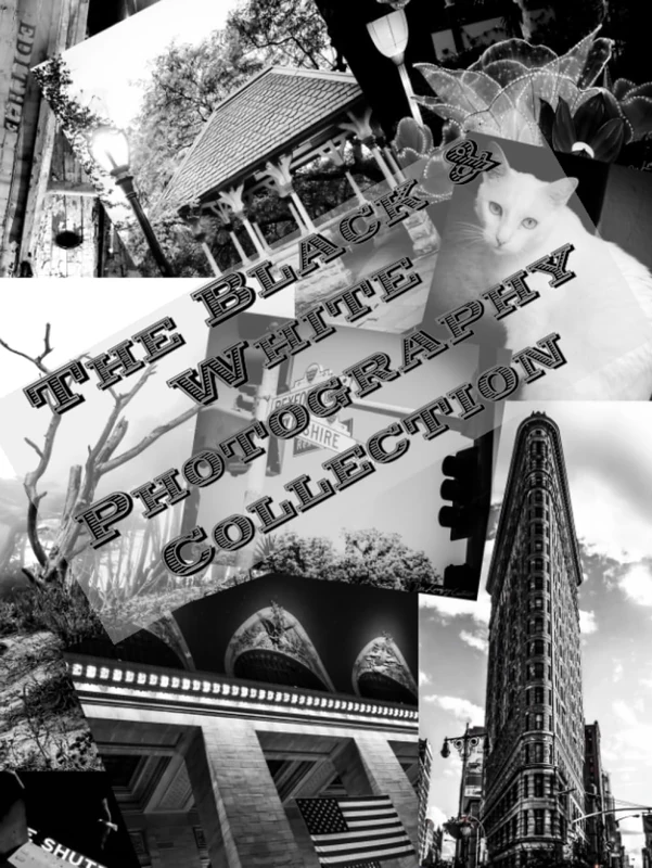 The Black & White Photography Collection (Photography Collections)