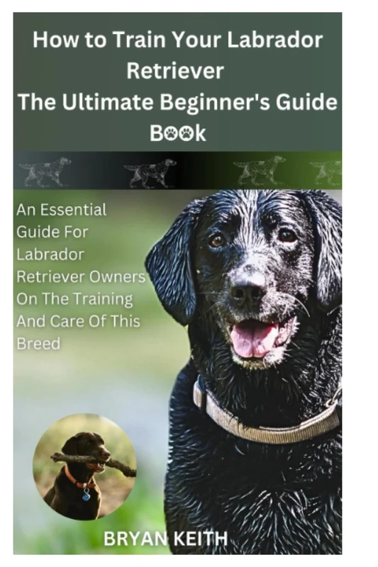 HOW TO TRAIN YOUR LABRADOR RETRIEVER THE ULTIMATE BEGINNER'S GUIDE BOOK: An Essential Guide For Labrador Retriever Owners On The Training And Care Of This Breed