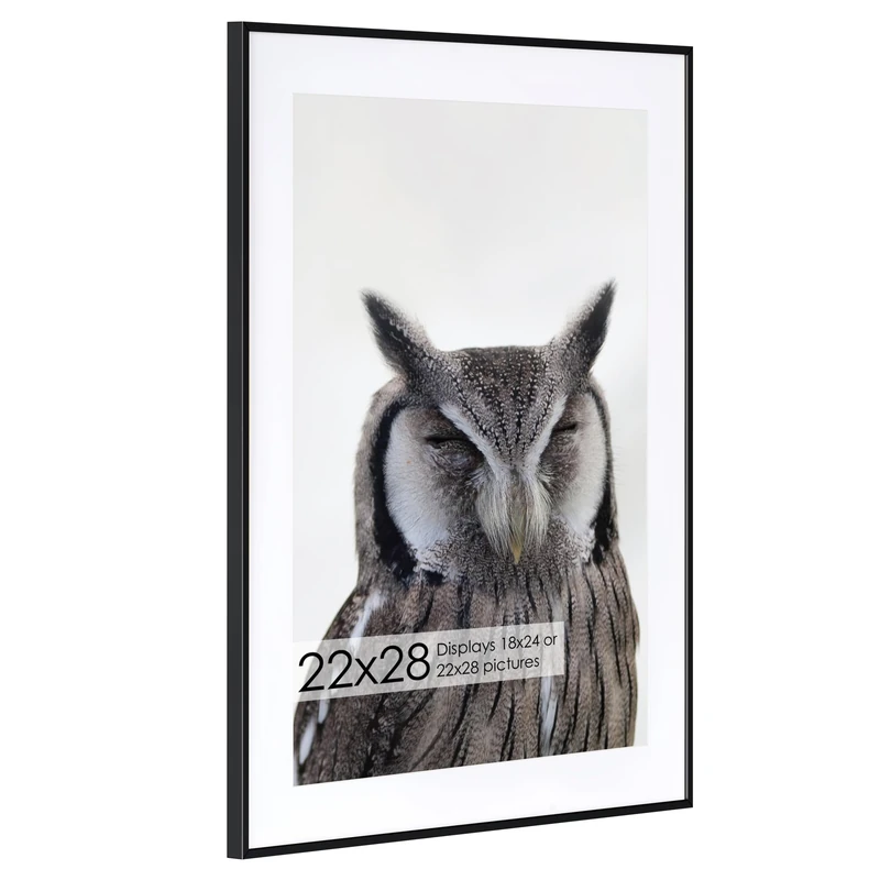 22x28 Metal Picture Frame with 18x24 Mat, Brushed Aluminum Finish, Tempered Glass Front, and Attached Hanging Hardware - Wall Display Frames for Vertical or Horizontal Orientation - Black