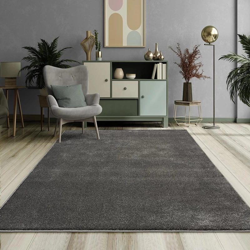 Mia´s Teppiche Emely Modern Soft Short Pile (17mm) Living Room Rug
