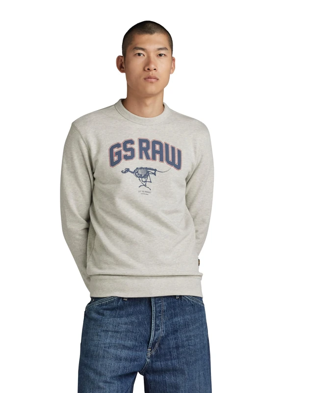 G-Star Men's Skeleton Dog Graphic Sweater, Multicolor (milk htr D24413-D562-971), XXL