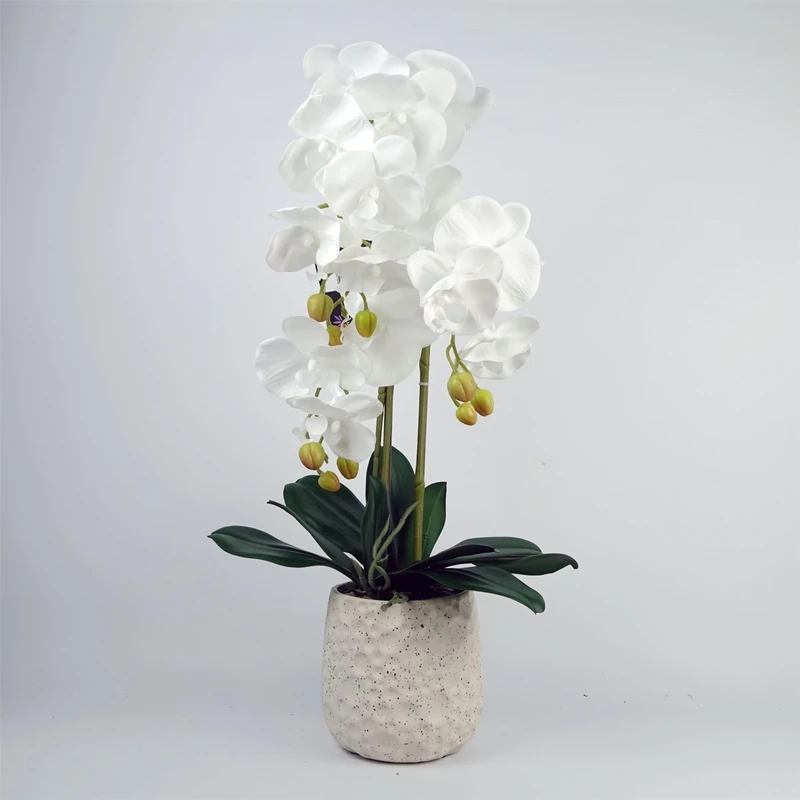 Leaf Design UK Realistic Artificial Orchid Flower Display in Pot, 60cm, 60cm White/Bubble Planter