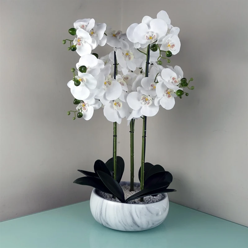 Leaf Design UK Realistic Artificial Orchid Flower Display in Pot