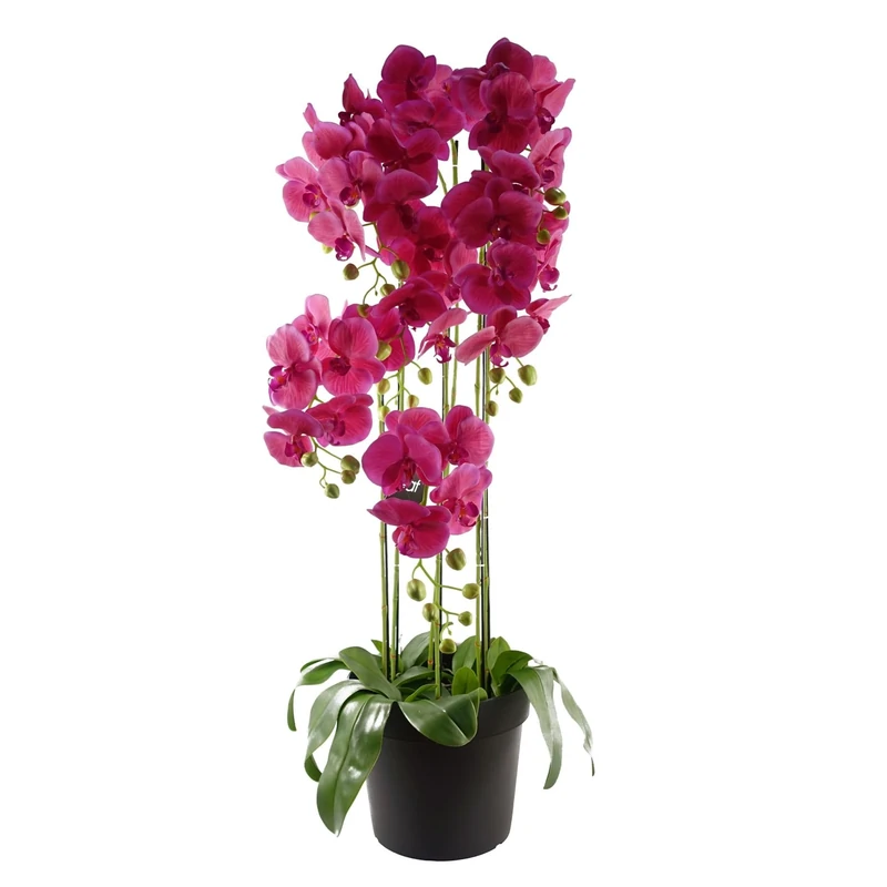 Leaf Design UK Realistic Artificial Orchid Flower Display in Pot