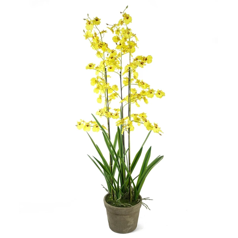 Leaf Design UK Realistic Artificial Orchid Flower Display in Pot, 105cm, 105cm Oncidium Yellow