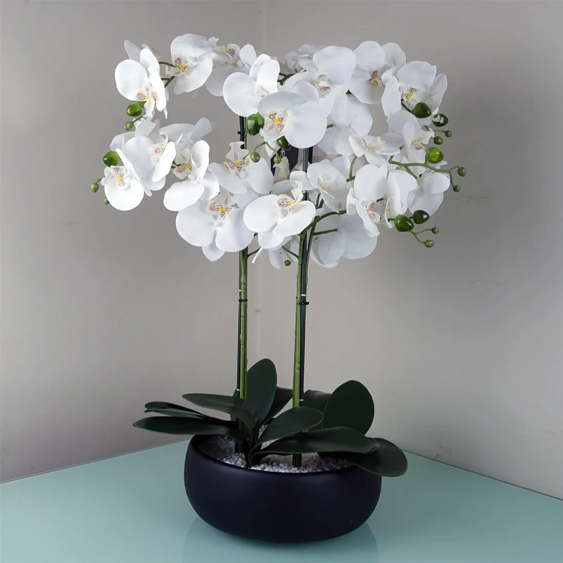Leaf Design UK Realistic Artificial Orchid Flower Display in Pot