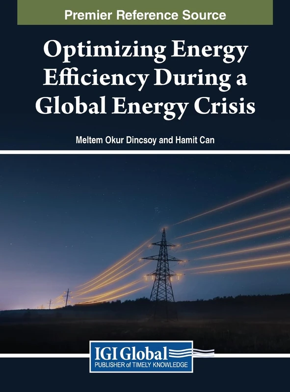 Optimizing Energy Efficiency During a Global Energy Crisis
