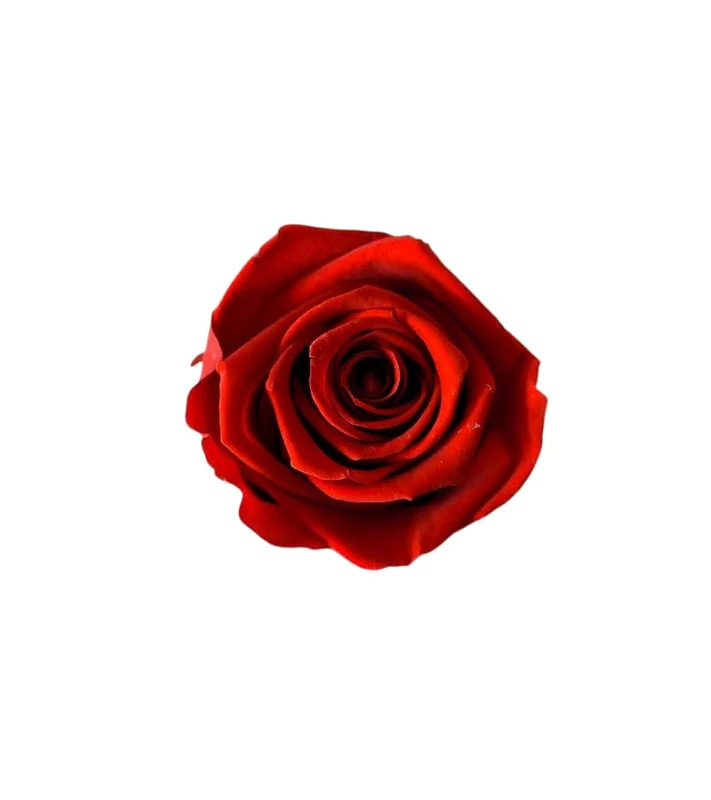 Juli Flowers Vibrant Red Rose Heads - Image 1