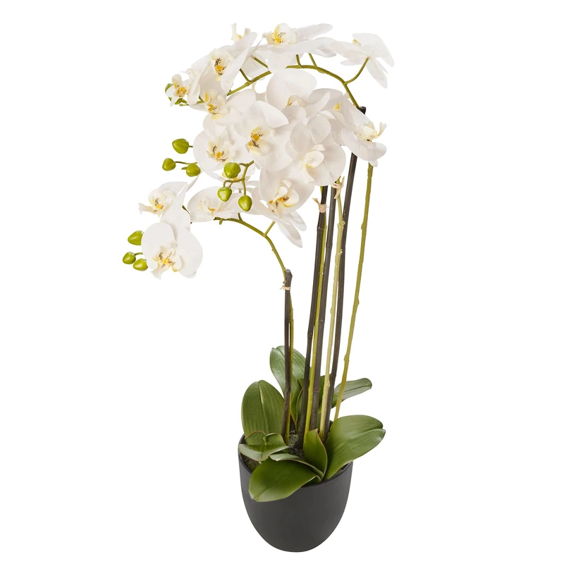 AMARE Phalenopsis in Resin Pot 83 cm White - Image 1