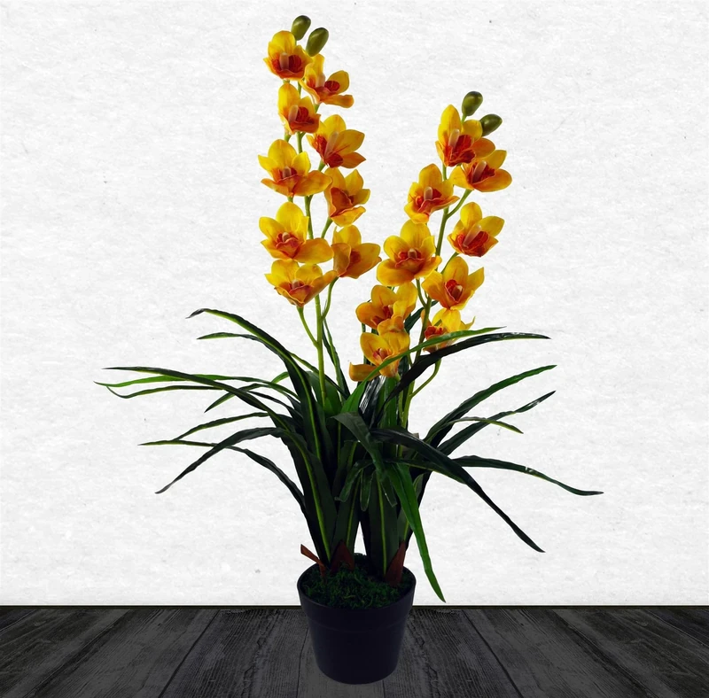 Leaf 90cm Yellow Flower Orchid Plant