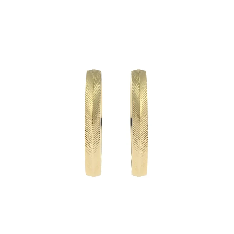 Fossil Women's Gold tone stainless Steel with hoop closure Earrings