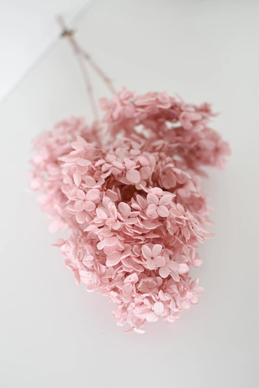 Juli Peegee Flowers