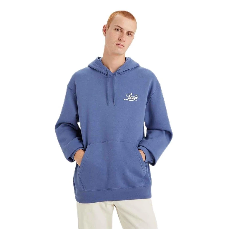 Levi's Relaxed Graphic Sweatshirt Hoodie Men, One With Palm Coastal Fjord, XS