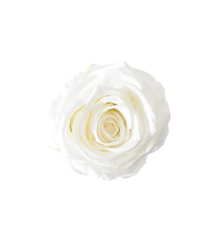 Juli Flowers Pure White Rose - Image 1