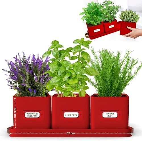 Green Thumbz Herb Pots for Kitchen Windowsill - Set of 3 Red Herb Planter Indoor with Leather Handled Tray - Ideal for an Indoor Herb Garden, Plants and Flowers - Labels Included