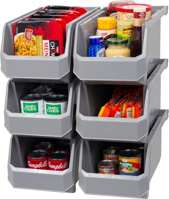 ReadySpace Plastic Containers for Organizing and Storage Bins for Closet, Kitchen, Office, or Pantry Organization, Large, 6-Pack, Grey