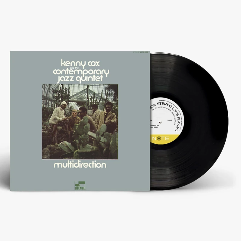 Multidirection [VINYL] - Image 1