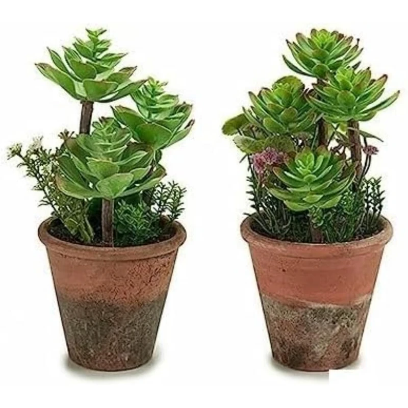 Ibergarden Decorative Plant, Multicoloured, Standard