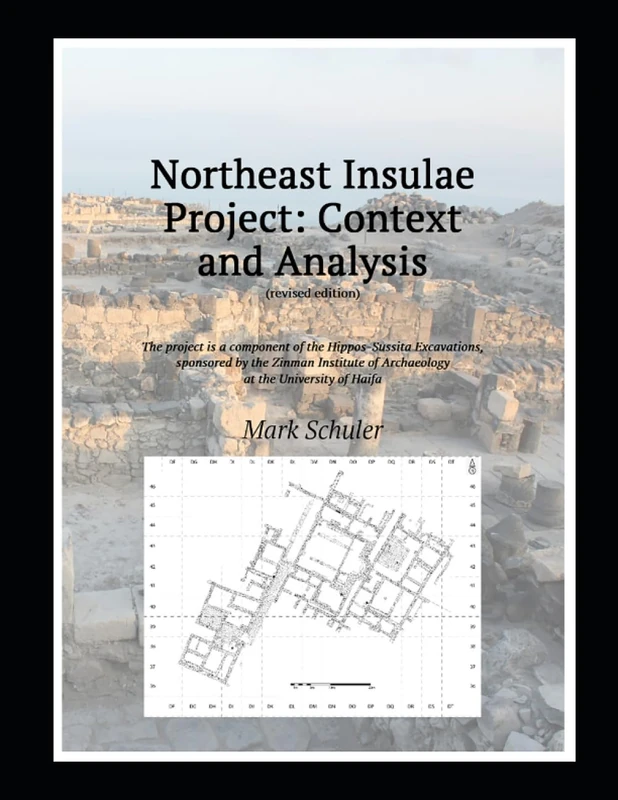 Northeast Insulae Project: Context and Analysis (revised edition) - Image 1