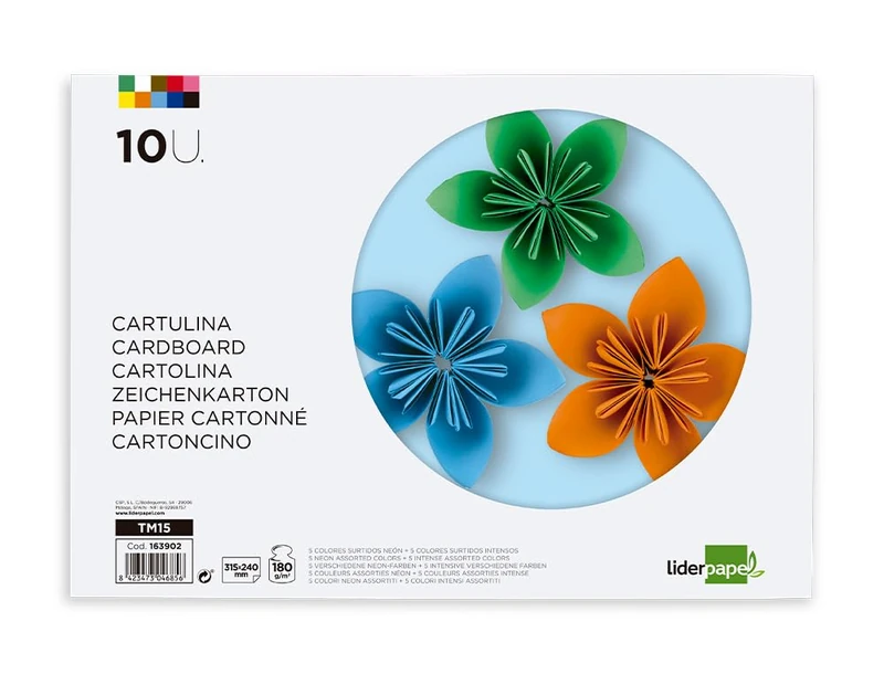 Manual Work Pad Leader Cardstock 240 x 315 mm 10 Sheets 5 Neon Colours + 5 Intense Colours