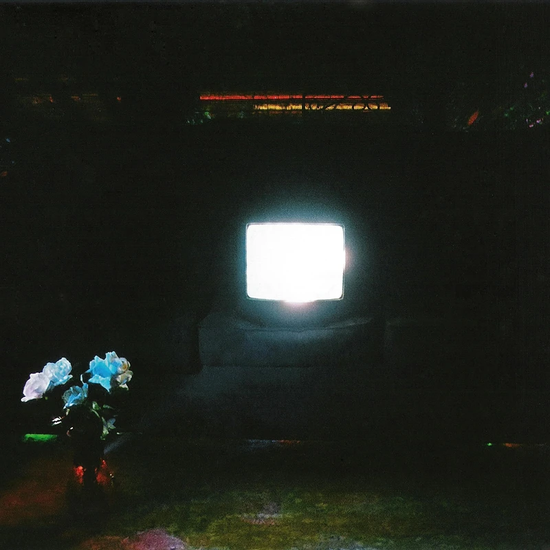 DOES IT LOOK LIKE I'M HERE? (ECTOPLASM) [VINYL]