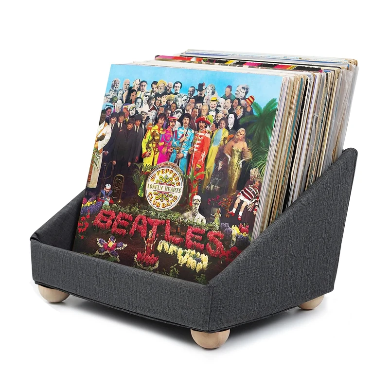Record Roots Vinyl Record Storage System – Practical Record Storage Display - Vinyl Holder Container for 40-45 Records – Durable and Lightweight 12-inch Vinyl Display – Easy Flick-Through