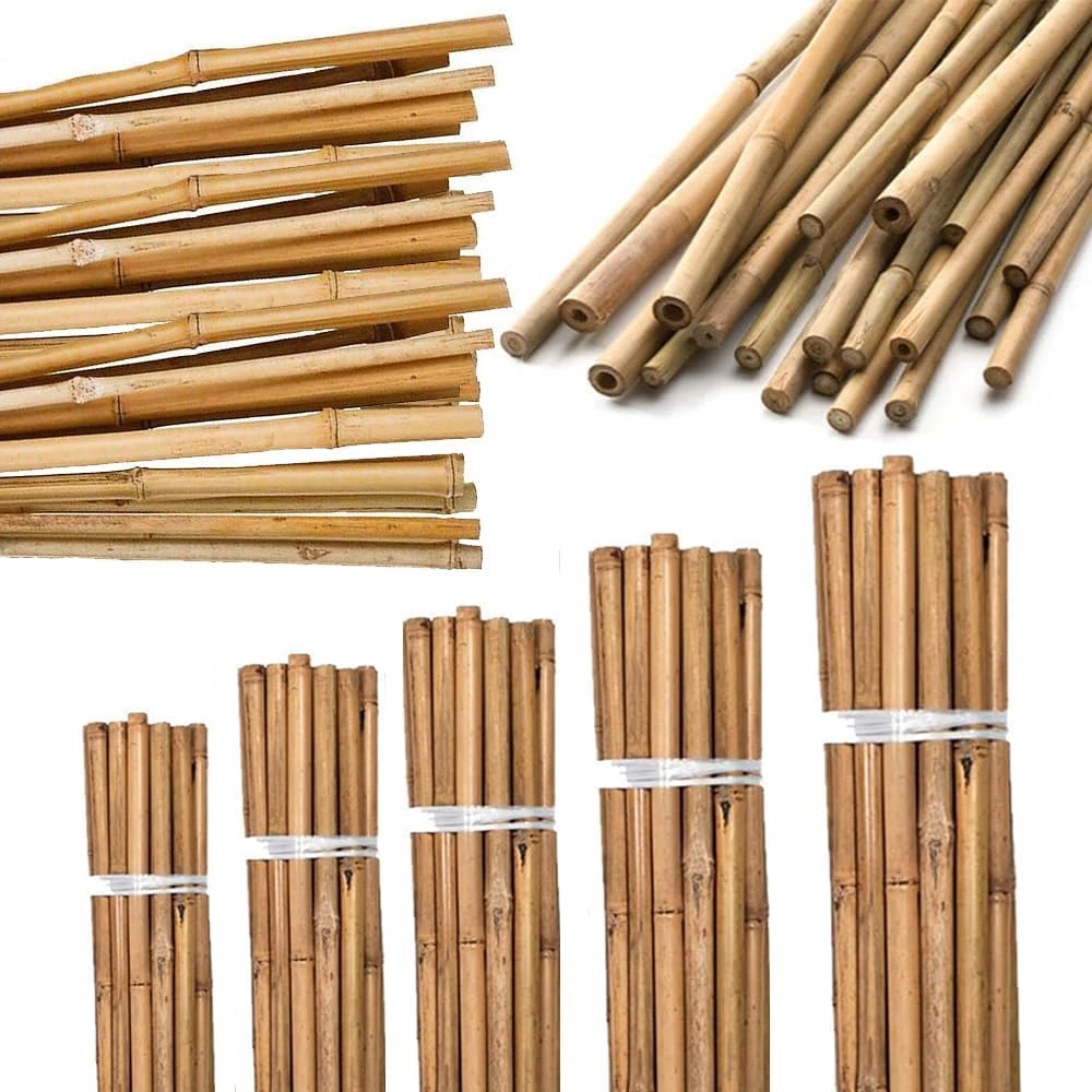 AHS Strong Heavy Duty Bamboo Canes - Natural 3FT Gardening Cane - Professional Thick Garden Canes - Indoor Outdoor Plants Support Stakes - Large Wooden Stake Trellis Pole (20, 3FT (90cm))