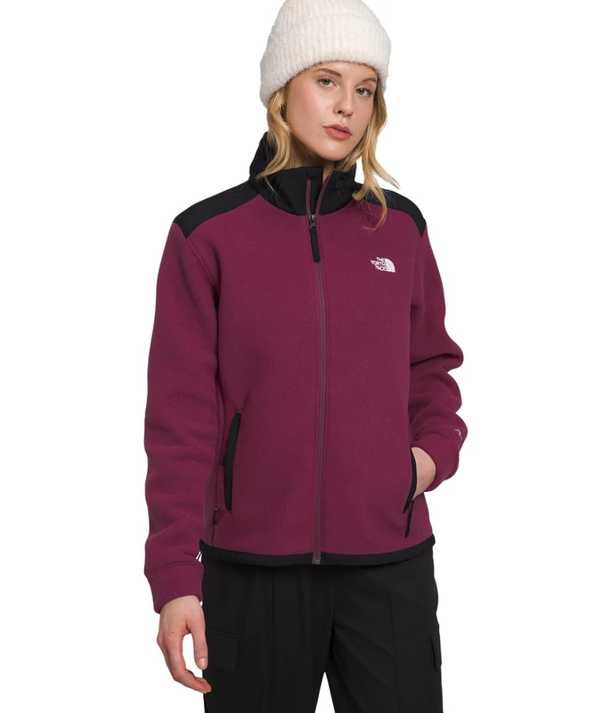 The North Face Alpine Polartec 200 Fleece Jacket - Women's L