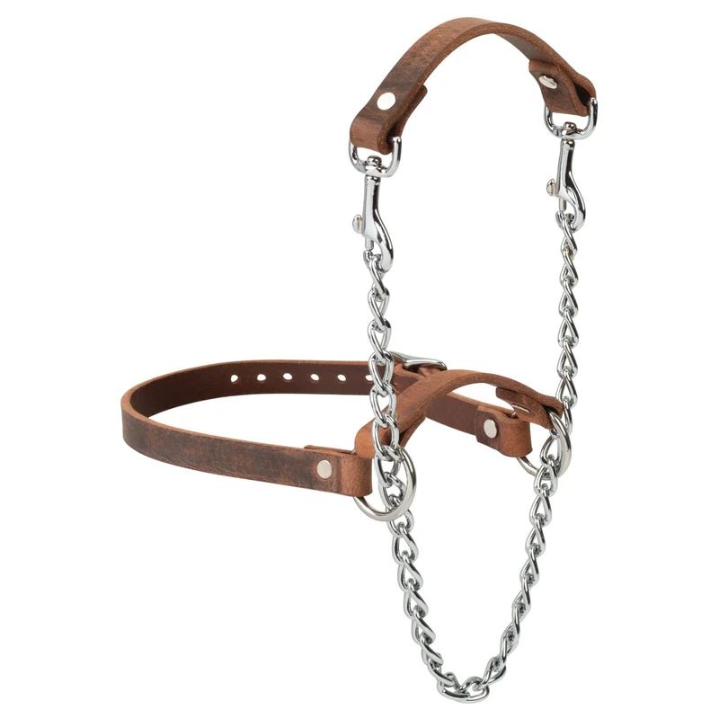 Weaver Livestock Leather Total Control Goat Halter, Water Buffalo - Image 1