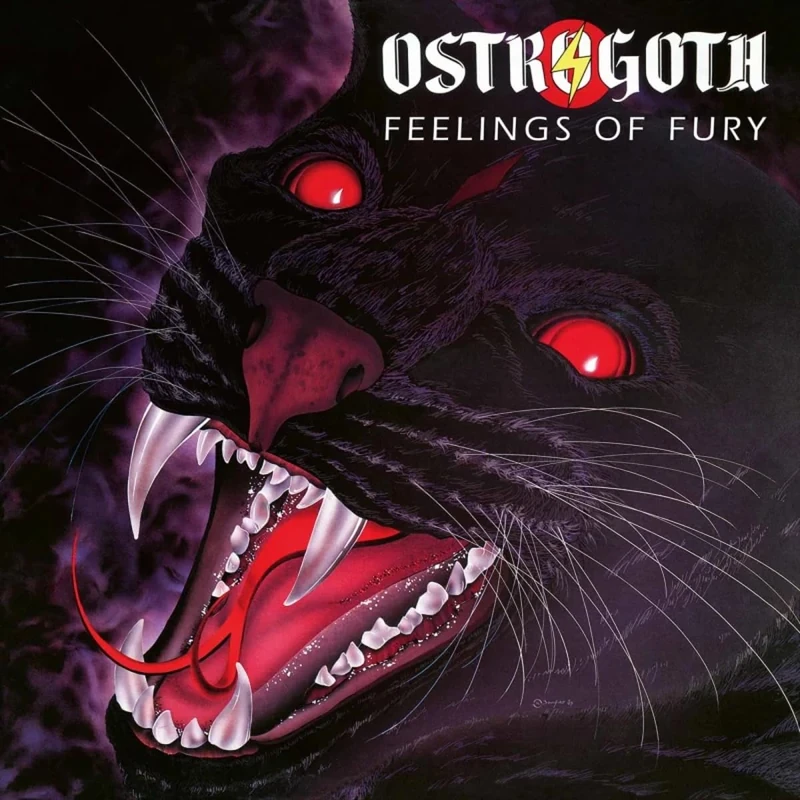 Feelings Of Fury [VINYL]