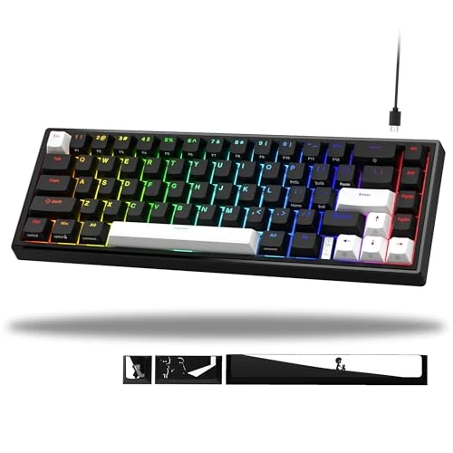 V-K66 60% Mechanical Gaming Keyboard, Gasket Mounted, Wired LED Backlit with Arrow Keys - Black and White