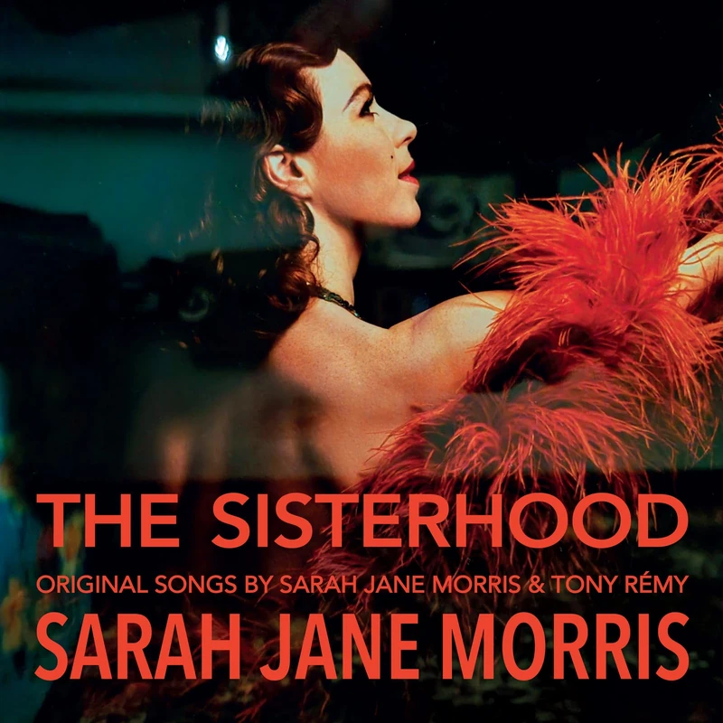 The Sisterhood [VINYL] - Image 1