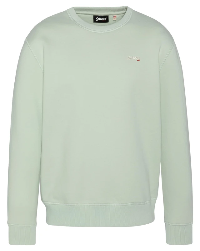 Schott NYC Men's hooded sweatshirt, Pastel Sage, XL