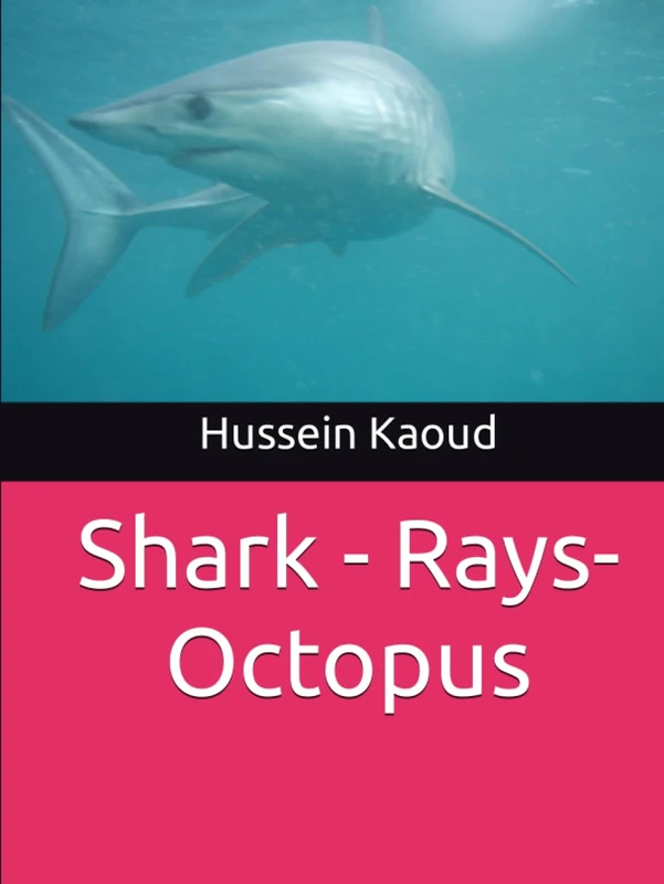 Shark - Rays-Octopus