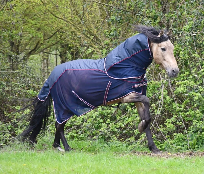 Rhinegold Mombasa Fly Rug + Neck Cover-5/6-Navy