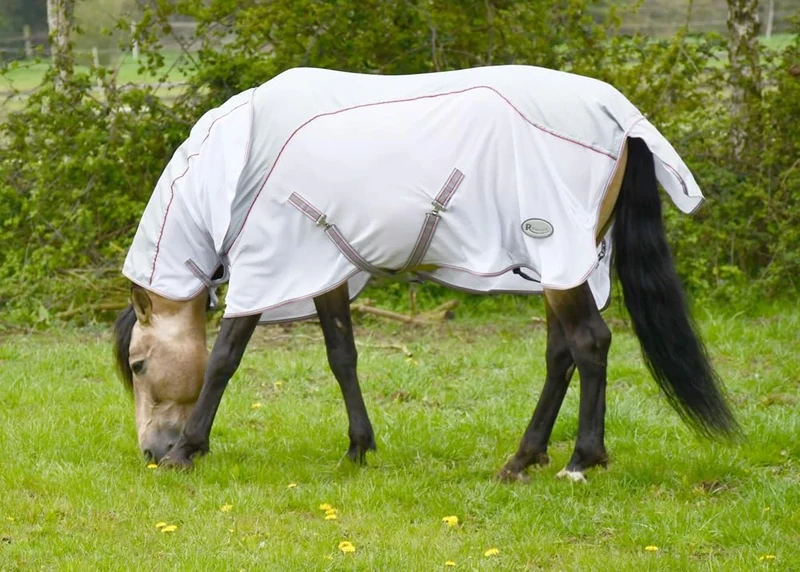 Rhinegold Mombasa Fly Rug + Neck Cover-7/3-Grey