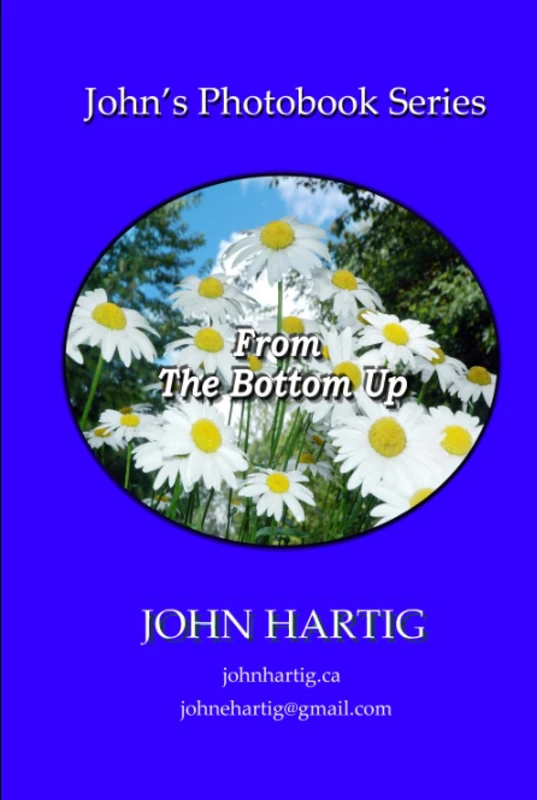 From the Bottom Up: The Low Perspective - Image 1