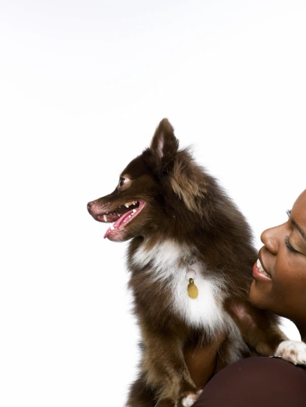 Pets Cardiology - Image 1