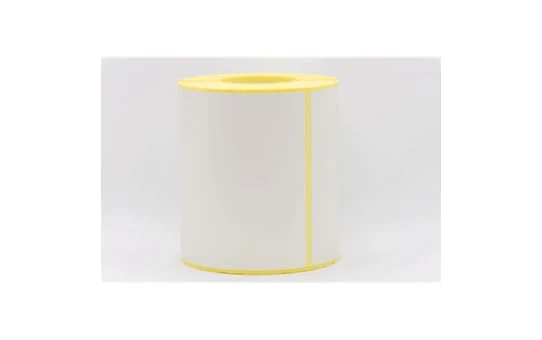 Brother 102mm x 152mm Protected Thermal Label