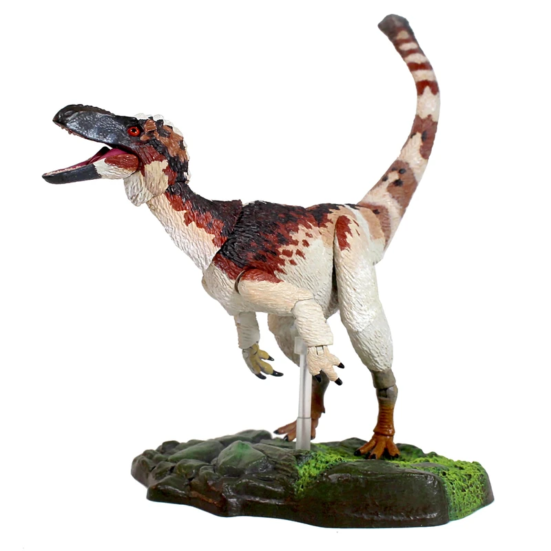 Everything Dinosaur Beasts of the Mesozoic 1/18th Suskityrannus hazelae